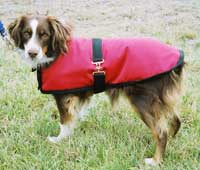 Quilted Dog Blanket